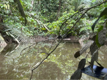 brasilien-amazonas-kanu-natur-pur-07
