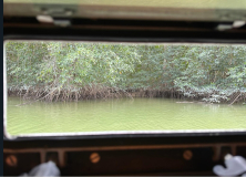 brasilien-amazonas-kanu-natur-pur-11