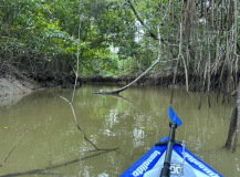 brasilien-amazonas-kanu-natur-pur-14