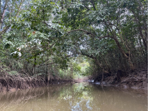 brasilien-amazonas-kanu-natur-pur-15