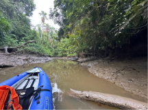 brasilien-amazonas-kanu-natur-pur