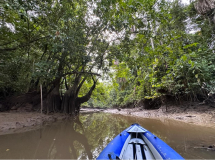 brasilien-amazonas-kanu-nautr-pur-01