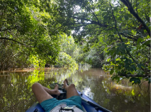 brasilien-amazonas-kanu-08