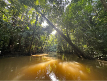 brasilien-amazonas-kanu-10