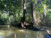 brasilien-amazonas-kanu-11