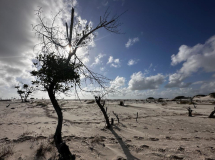 Brasilien-lencois-steppe