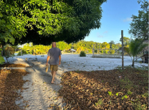Franzoesisch-Guyana-Festland-Dorf-Mango-Baum