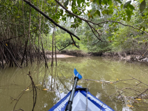FG-Maroni-River-04