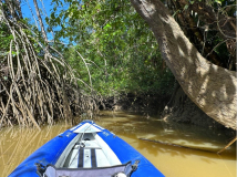 maroni-river-14