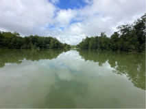 FG-weiter-im-Fluss-04