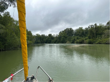 FG-weiter-im-Fluss-Sandbank-01