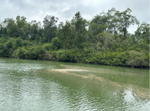 FG-weiter-im-Fluss-Sandbank-02