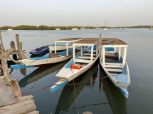 04 gambia-lamin-lodge-boote-02