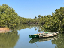 07 gambia-lamin-lodge-boote