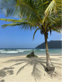 2024.01-trinidad-ausflug-strand-02