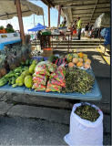 Trinidad-Markt-01