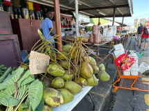 Trinidad-Markt-02
