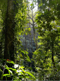 trinidad-wasserfall-weg