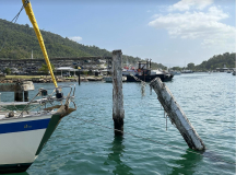 1_Trinidad-VitA-und-Pfosten