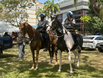 faschingdienstag-berittene-polizei-03