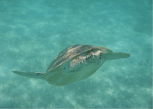 Screenshot-2024-03-04-133733