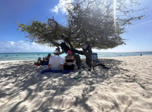 aruba-arashi-beach-manu-und-vali-3