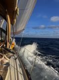 islas-aves-03