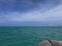 a-islas-aves-04