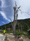 after-beryl-union-island-04