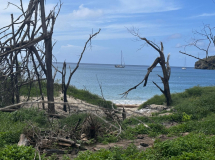 after-beryl-union-island-06
