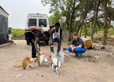 01  gambia-kastraprojekt-lamin-anlocken