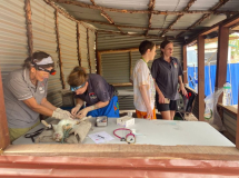 08 gambia-kastraprojekt-lamin-lodge-03
