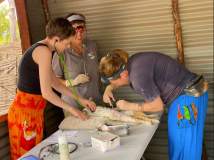 13 gambia-kastraprojekt-lamin-lodge-06