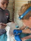 12 gambia-kastraprojekt-lamin-lodge-07