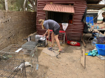 19 gambia-kastraprojekt-lamin-lodge-kaefige-01